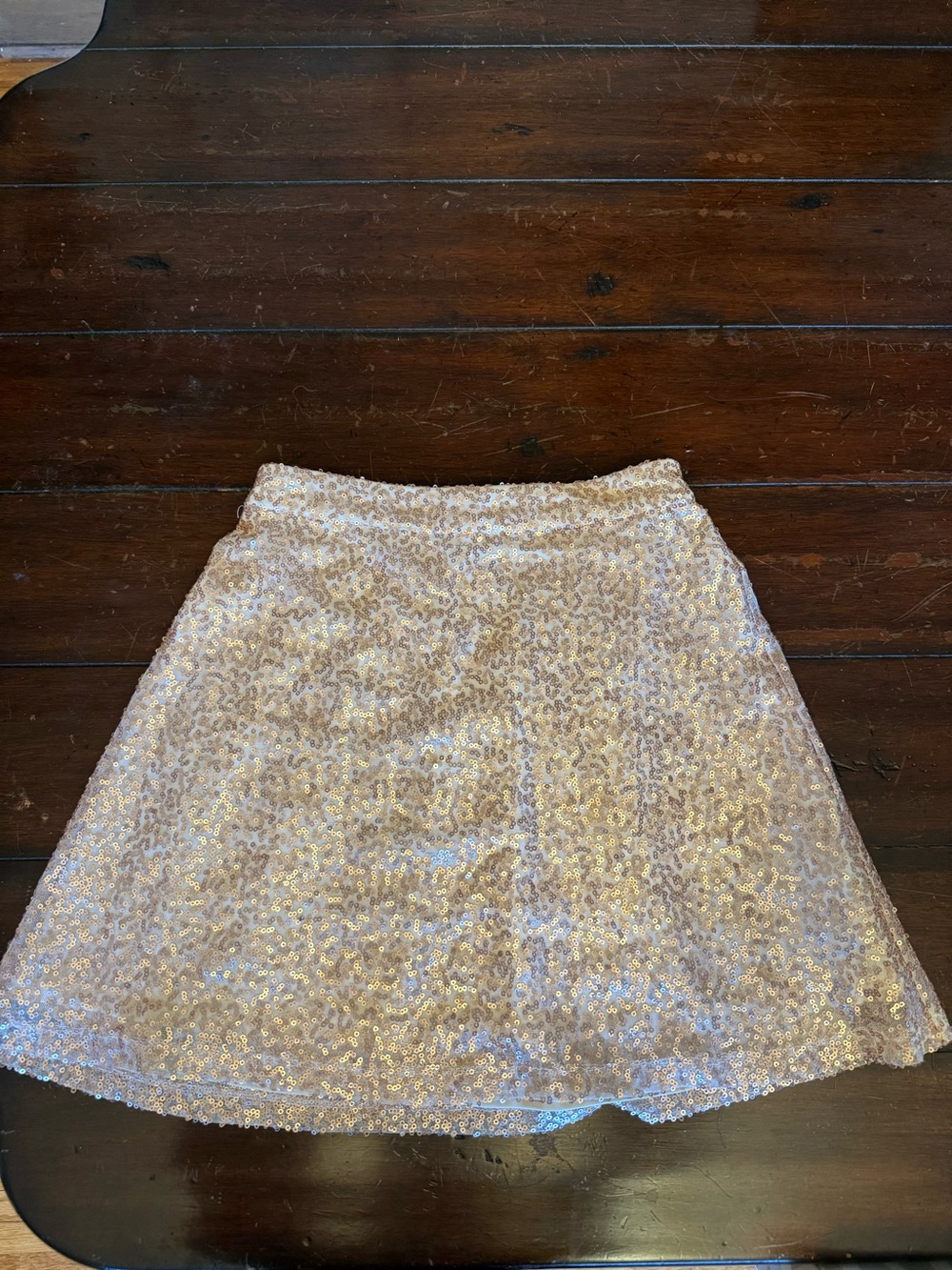 American Eagle Outfitters Sequin Skater Skirt